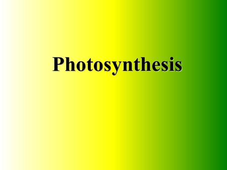 Photosynthesis.