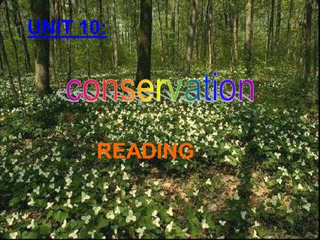 READING UNIT 10:. 123 4 5 687 9 101211 Congratulation! you’ve got 10 marks And a letter “V” Congratulation! you’ve got 10 marks Sorry! You lose 10 marks.