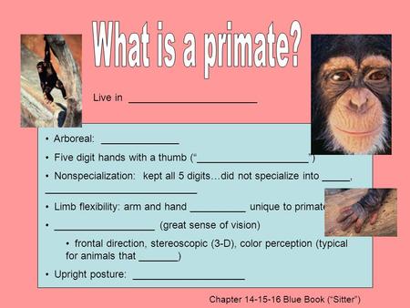 Live in _______________________ Arboreal: ______________ Five digit hands with a thumb (“____________________”) Nonspecialization: kept all 5 digits…did.