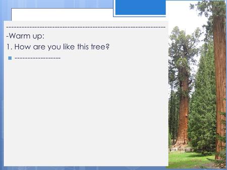 --------------------------------------------------------------- -Warm up: 1. How are you like this tree? ------------------