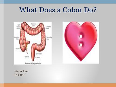 What Does a Colon Do? Sieun Lee IST511.