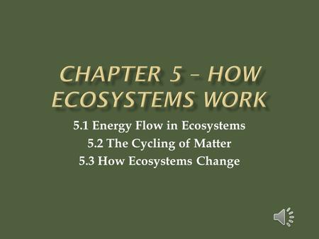 Chapter 5 – How Ecosystems work