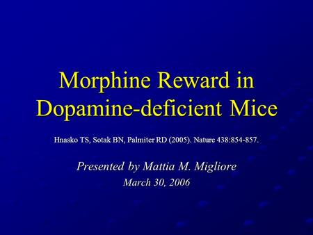 Morphine Reward in Dopamine-deficient Mice