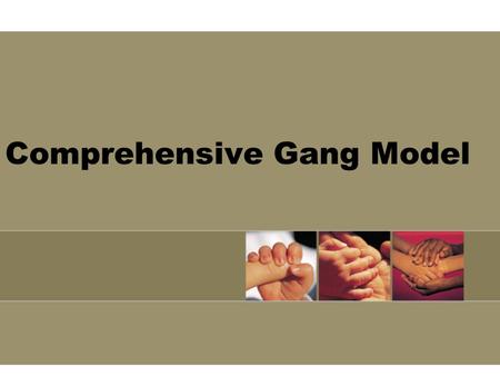 Comprehensive Gang Model