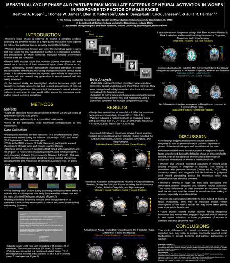 Increased Activation in Response to Male Faces in Areas Related to Reward During the Follicular Phase including the Orbitofrontal Cortex, Anterior Cingulate,