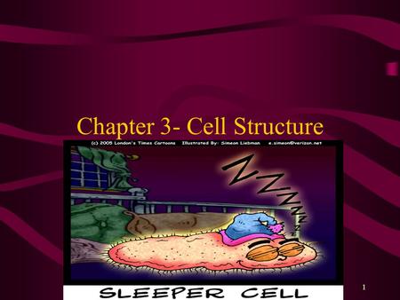 Chapter 3- Cell Structure