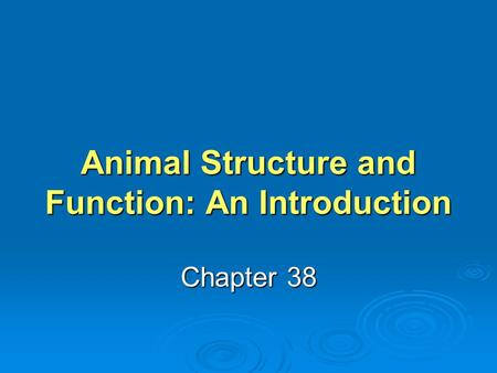 Animal Structure and Function: An Introduction