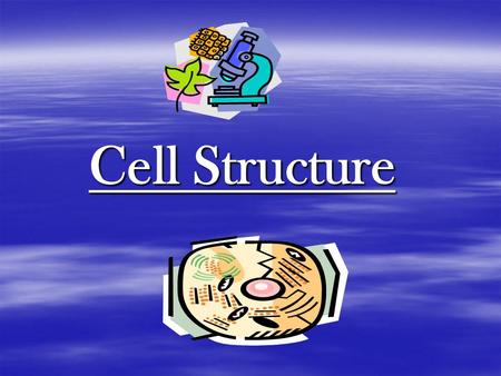 Cell Structure. I. Looking at Cells  A. Scientists only became aware of cells after the invention of the microscope.  1. 1665:Robert Hooke observed.