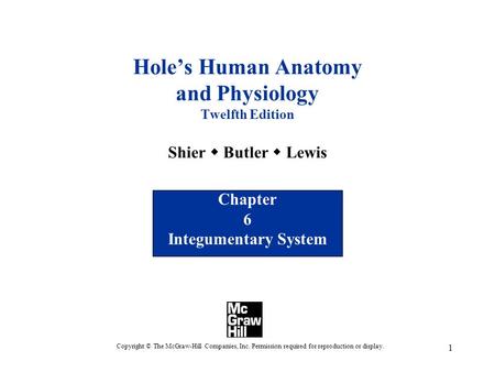 Chapter 6 Integumentary System