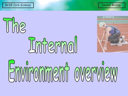 The Internal Environment overview.