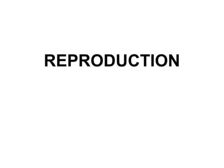 REPRODUCTION. Female Reproductive System Ovaries –Two organs that produce eggs –Size of almond –30,000-40,000 eggs –Eggs can live for 12- 24 hours.