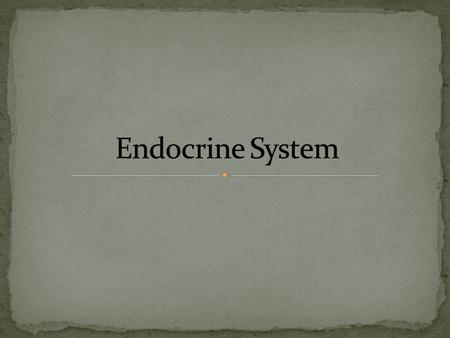 Endocrine System.