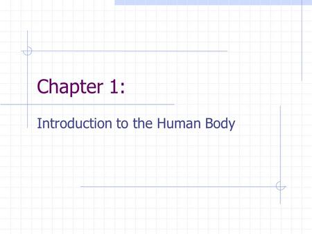 Introduction to the Human Body