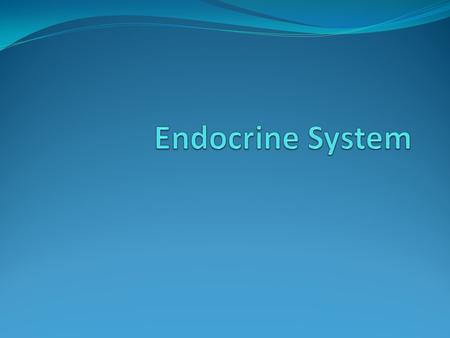 Endocrine System.