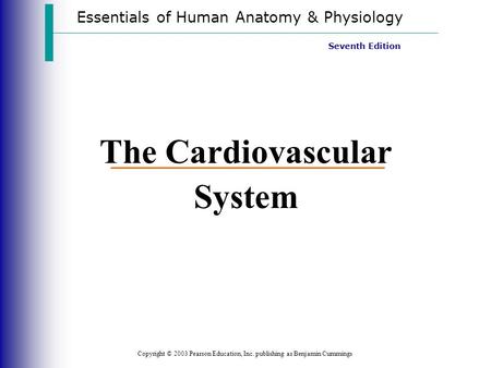 The Cardiovascular System