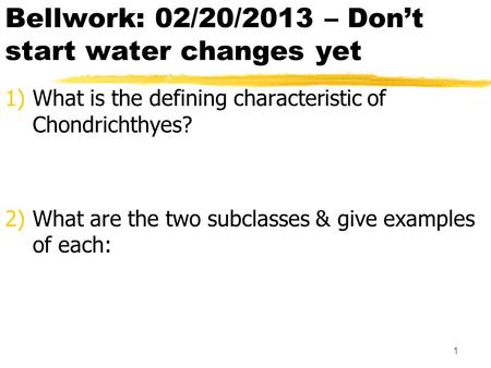 Bellwork: 02/20/2013 – Don’t start water changes yet 1)What is the defining characteristic of Chondrichthyes? 2)What are the two subclasses & give examples.