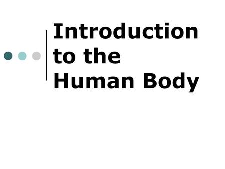 Introduction to the Human Body. Skeletal System The function of the skeletal system is to give the body support and protect vital organs. Without a skeletal.