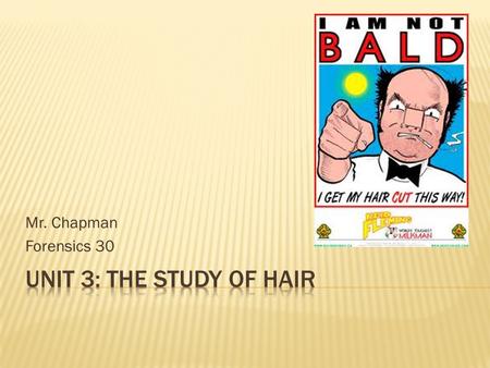 Mr. Chapman Forensics 30.  All mammals have hair. Its main purpose is to regulate body temperature – to keep the body warm by insulating it.  In some.