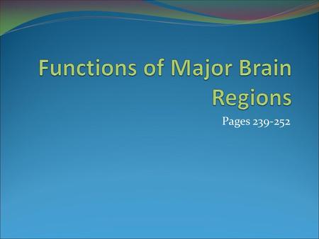 Functions of Major Brain Regions