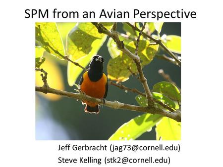 SPM from an Avian Perspective Jeff Gerbracht Steve Kelling