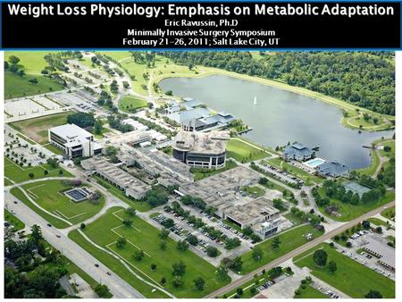 Weight Loss Physiology: Emphasis on Metabolic Adaptation Eric Ravussin, Ph.D Minimally Invasive Surgery Symposium February 21-26, 2011; Salt Lake City,