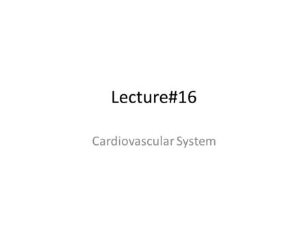 Cardiovascular System