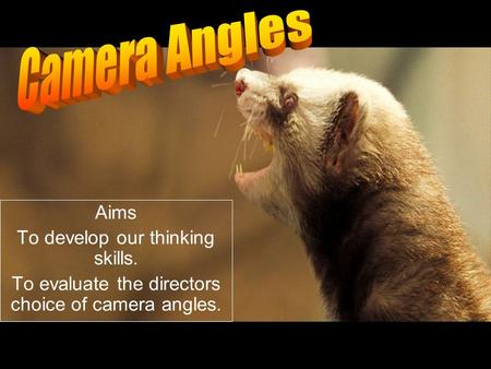 Aims To develop our thinking skills. To evaluate the directors choice of camera angles.