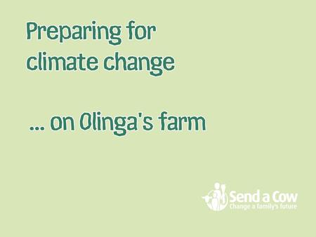 Olinga and his brother live on a small farm with their family in north eastern Uganda.