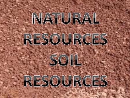 1.Introduction 2.Prior Knowledge 3.Soil resources 4.Where does soil come from? 5.Why are soil resources important? 6.What is soil conservation? 7.Is soil.