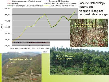Baseline Methodology ARNMB0010 Xiaoquan Zhang and Bernhard Schlamadinger.