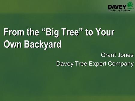 The Davey Institute Grant Jones Davey Tree Expert Company From the “Big Tree” to Your Own Backyard.