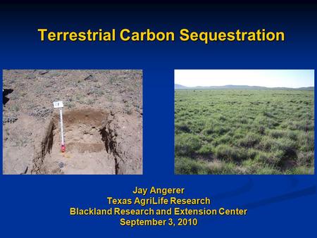 Terrestrial Carbon Sequestration Jay Angerer Texas AgriLife Research Blackland Research and Extension Center September 3, 2010.