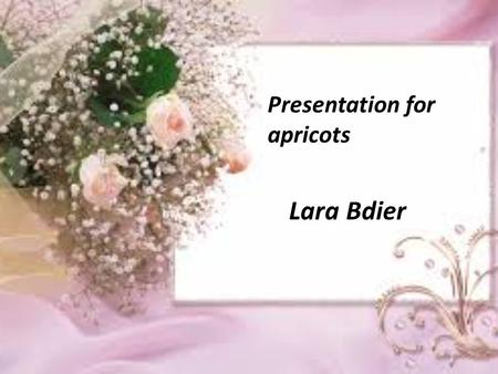 Presentation for apricots Lara Bdier.