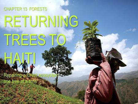 CHAPTER 13 FORESTS RETURNING TREES TO HAITI Repairing a forest ecosystem one tree at a time.