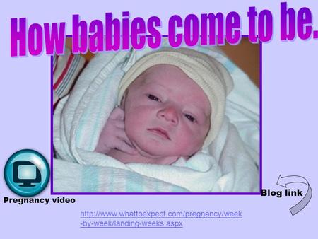 How babies come to be. Blog link Pregnancy video