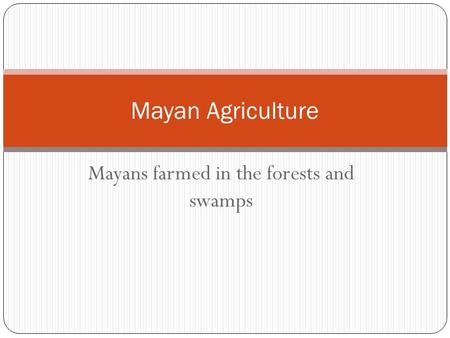 Mayans farmed in the forests and swamps Mayan Agriculture.