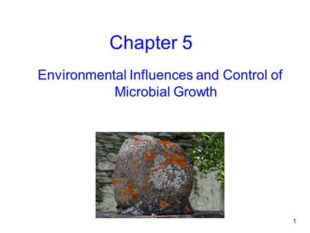 Environmental Influences and Control of Microbial Growth