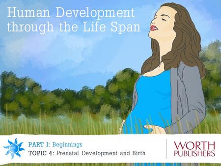 4. Vulnerability during Prenatal Development