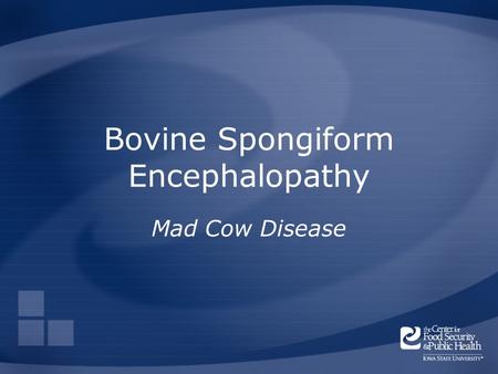 Bovine Spongiform Encephalopathy