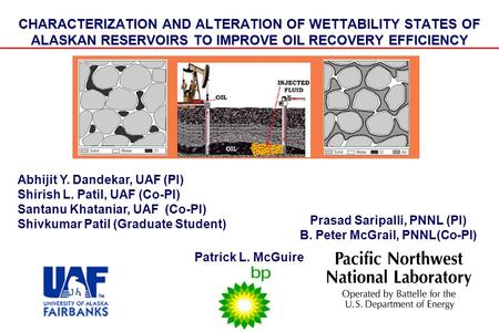 Prasad Saripalli, PNNL (PI) B. Peter McGrail, PNNL(Co-PI)