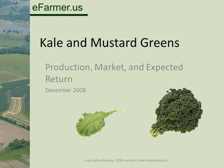 EFarmer.us Kale and Mustard Greens Production, Market, and Expected Return December 2008 copyright eStudy.us 2008