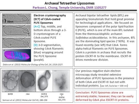 Dobro et al. (2013) Molecular Biology of the Cell, 24, 2319-2327. 50nm Archaeal Tetraether Liposomes Parkson L. Chong, Temple University, DMR 1105277 Electron.