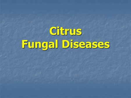 Citrus Fungal Diseases