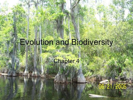 Evolution and Biodiversity