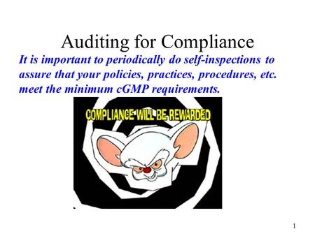 Auditing for Compliance