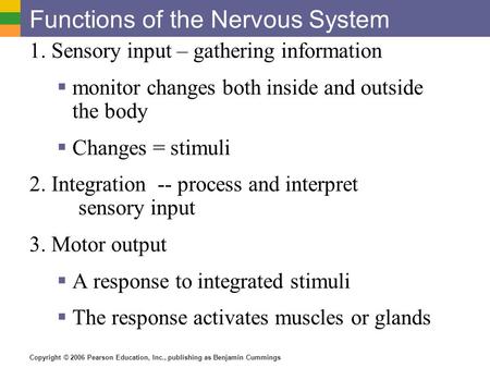 Functions of the Nervous System