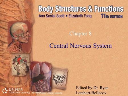 Central Nervous System