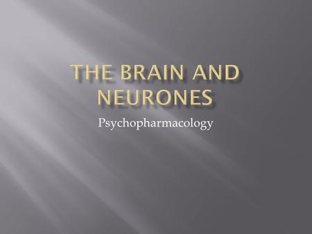 Psychopharmacology.  Complex  1.4 kg in weight  Pre frontal cortex  2% of body weight  20% of oxygen  15% of our cardiac input  10% of all energy.