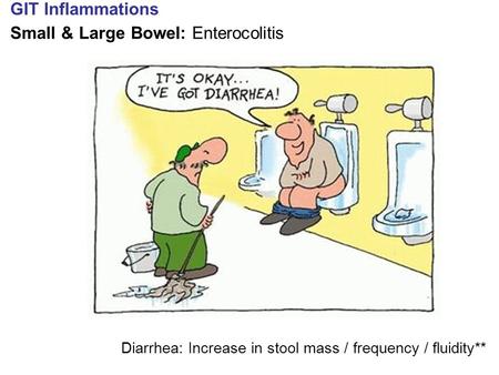 Small & Large Bowel: Enterocolitis