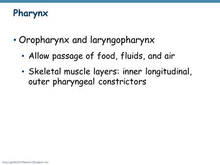 Copyright © 2010 Pearson Education, Inc. Pharynx Oropharynx and laryngopharynx Allow passage of food, fluids, and air Skeletal muscle layers: inner longitudinal,